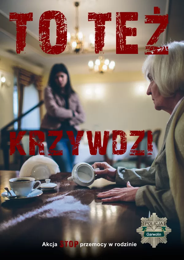 Stop przemocy w Rodzinie 2013
