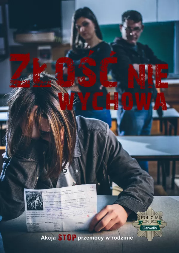 Stop przemocy w Rodzinie 2013